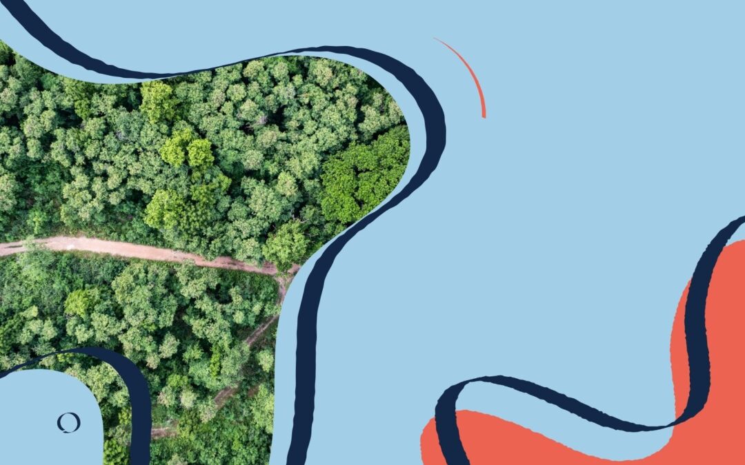 The digital carbon footprint of the internet