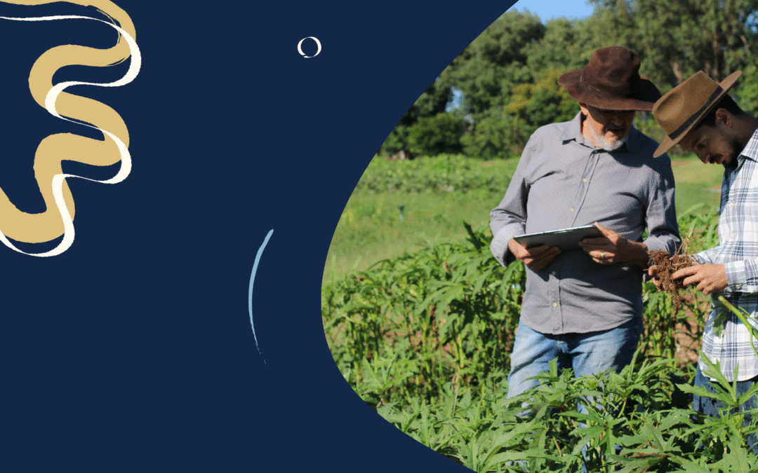 What is sustainable marketing? What it is and how it drives prosperity for all